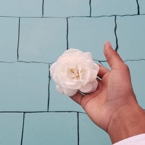 Meet your Posher, Luis